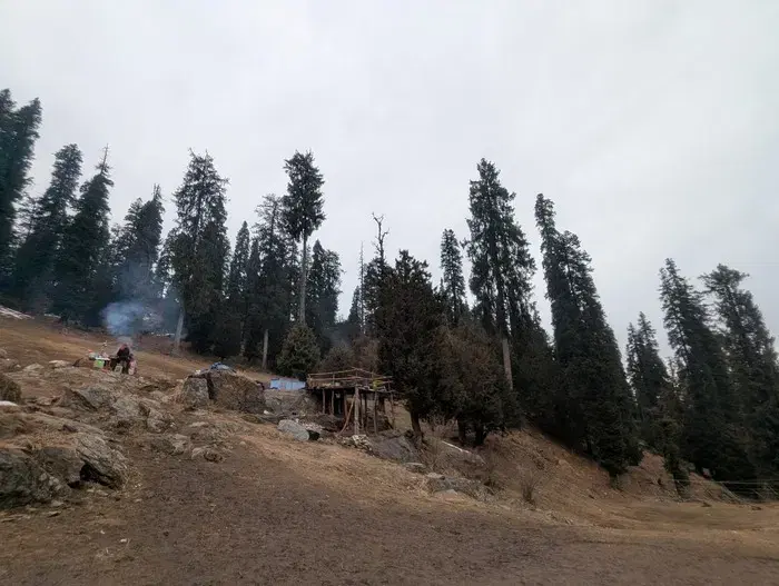 Green fairways and pine-covered hills at Upat Golf Course near Ranikhet