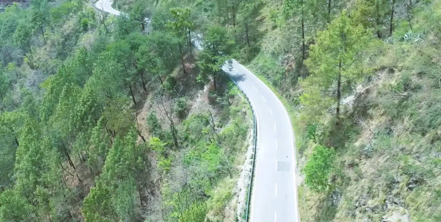Fruit market stalls and pine forest hillside at Bhowali, a Kumaon hill-town junction near Nainital