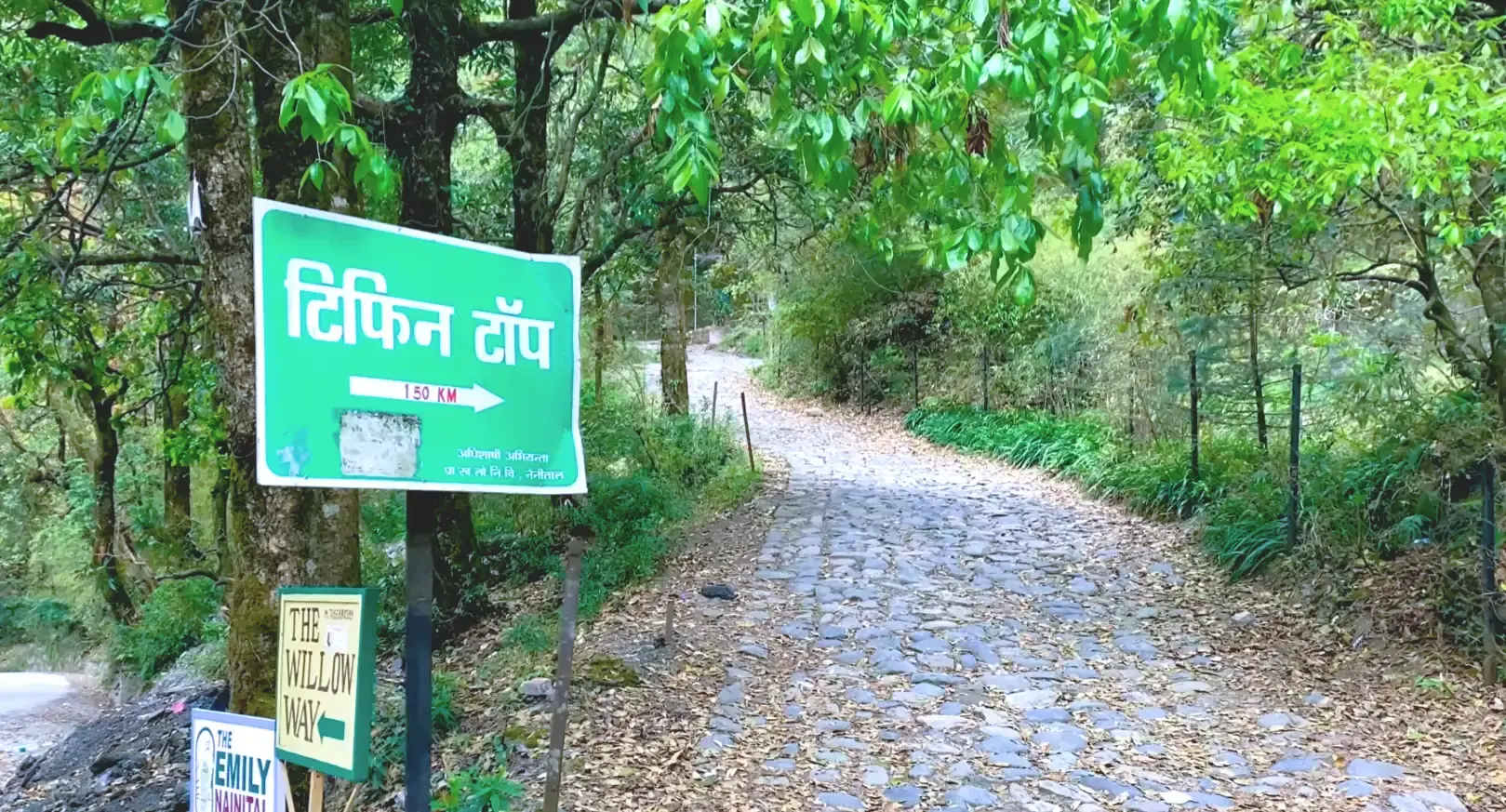 Forest trail and signboard pointing towards Tiffin Top in Nainital