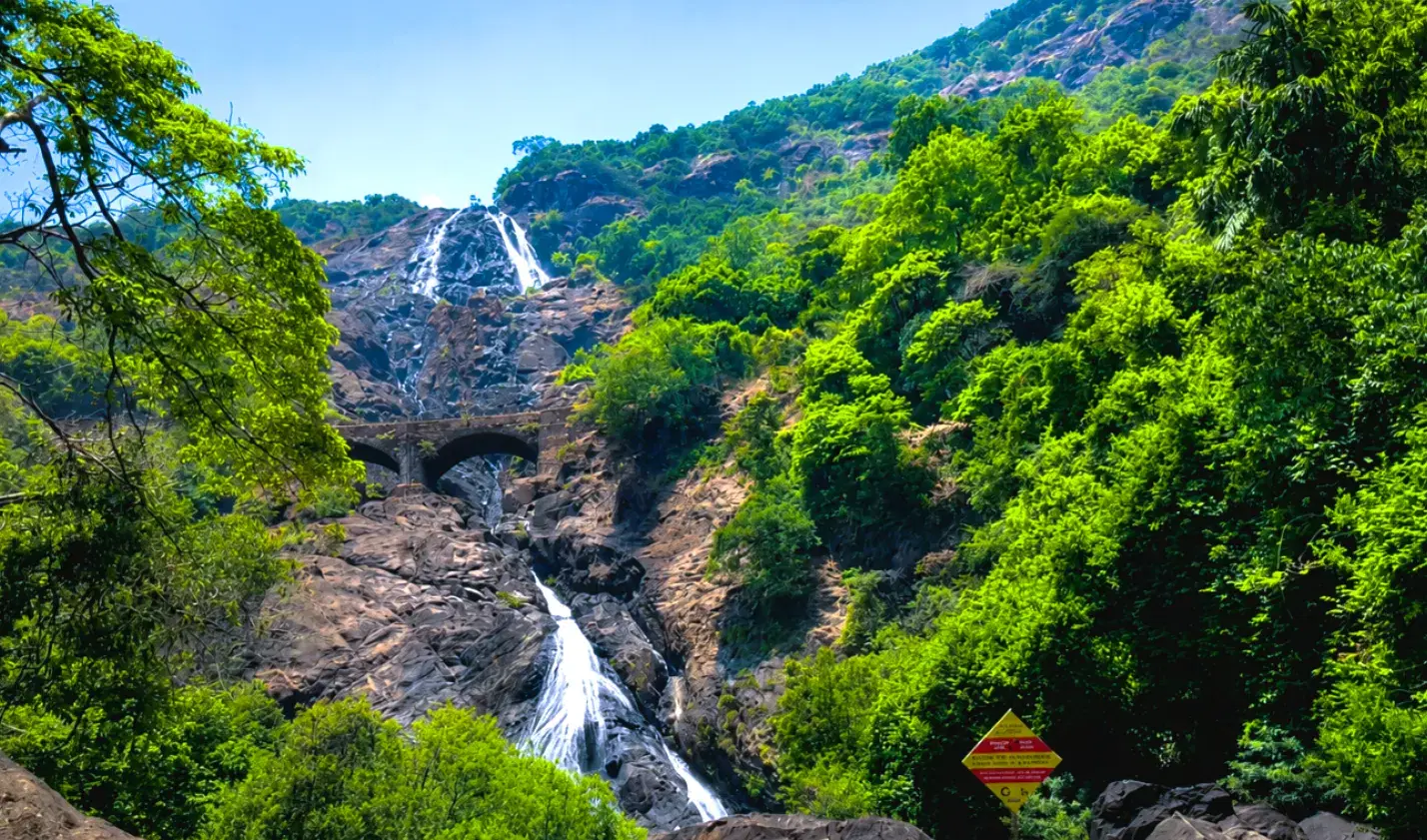 Dudhsagar Falls cascading through the forested Western Ghats in Goa