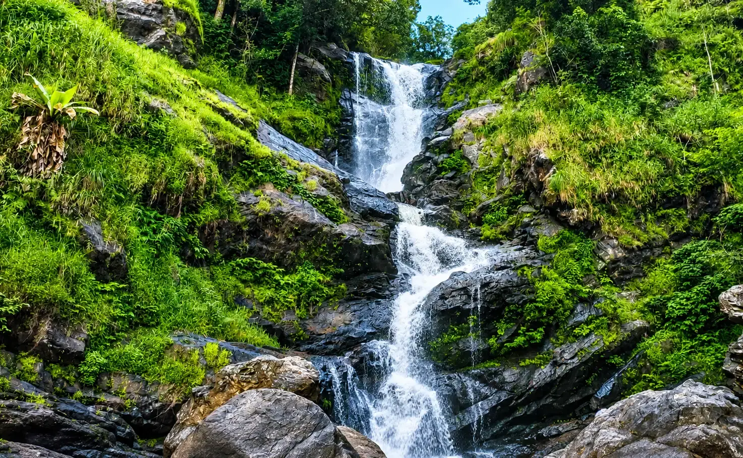 Iruppu Falls descending through bright green forest in southern Kodagu