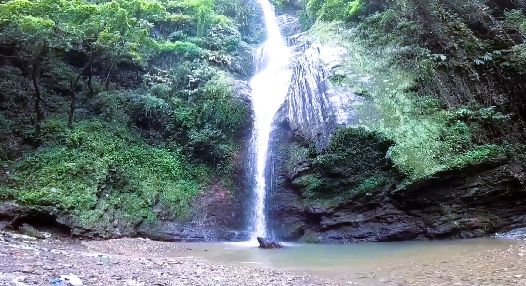 Chadwick Falls cascading into a forest pool near Shimla