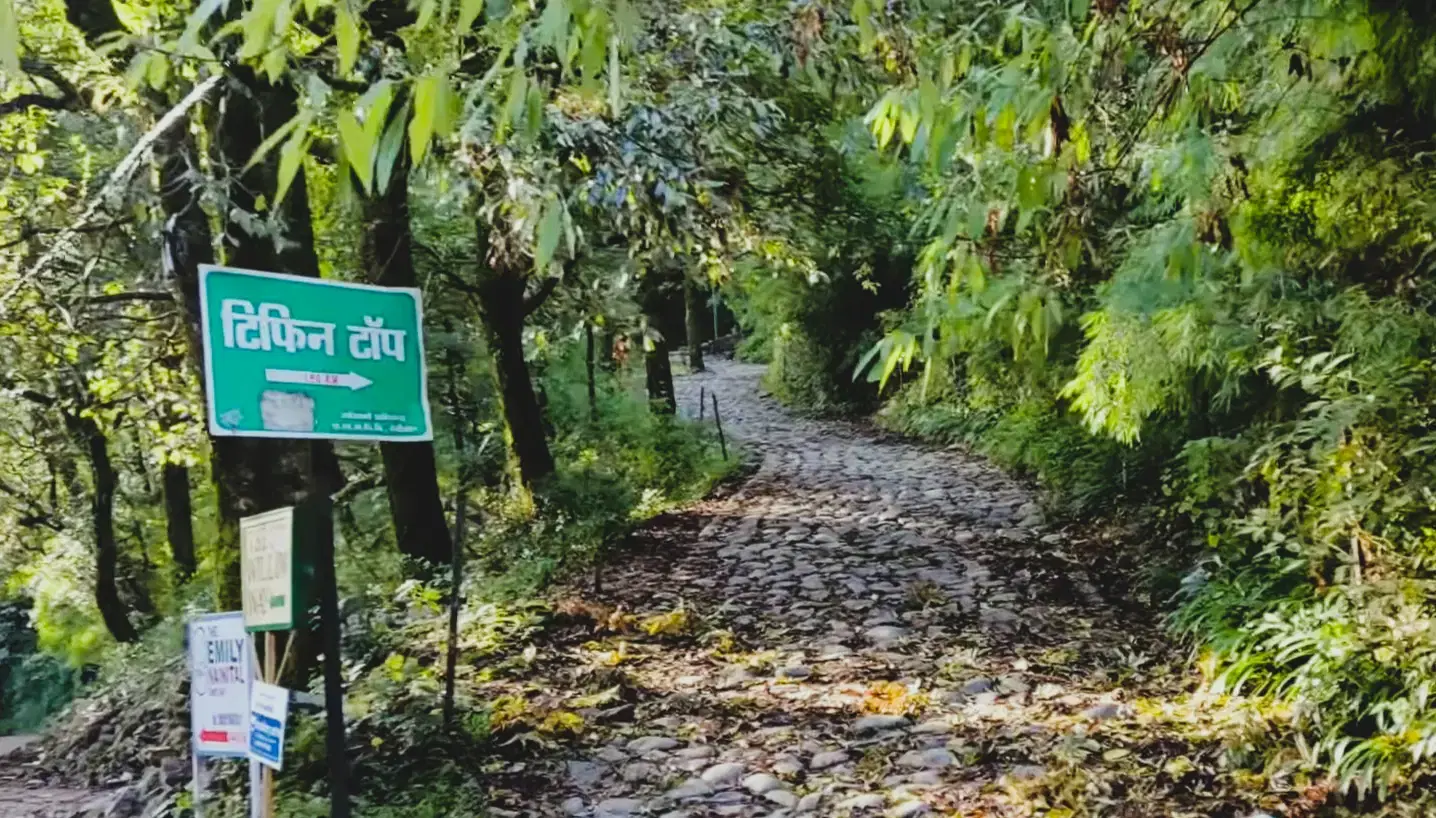 Forest trail leading up to Tiffin Top viewpoint in Nainital, Uttarakhand