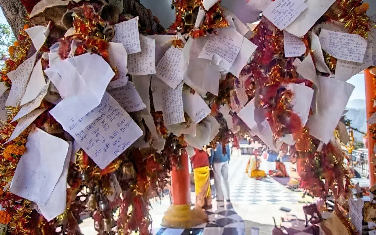 Thousands of bells and letters tied by devotees at Ghorakhal Golu Devta Temple amid pine and deodar forest
