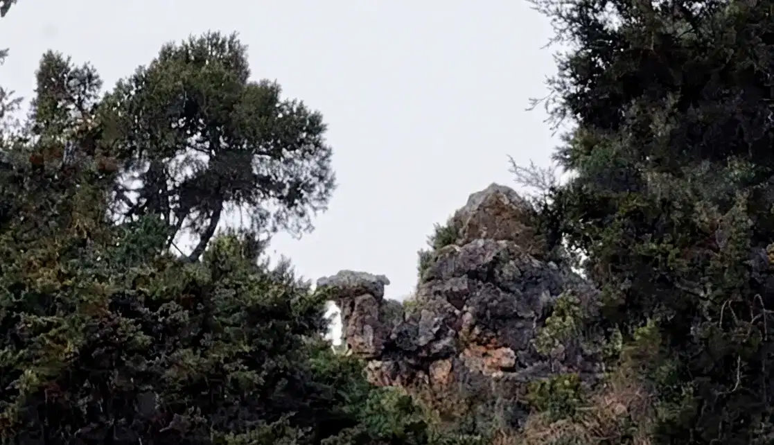 Camel's Back Road with mountain and valley views in Mussoorie