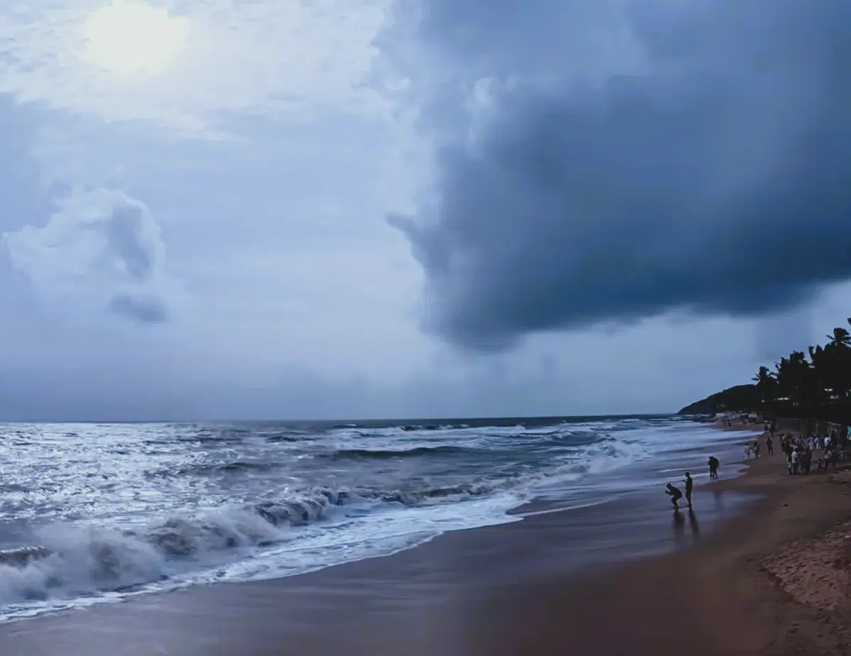 Rocky shoreline and palms at Anjuna Beach in North Goa