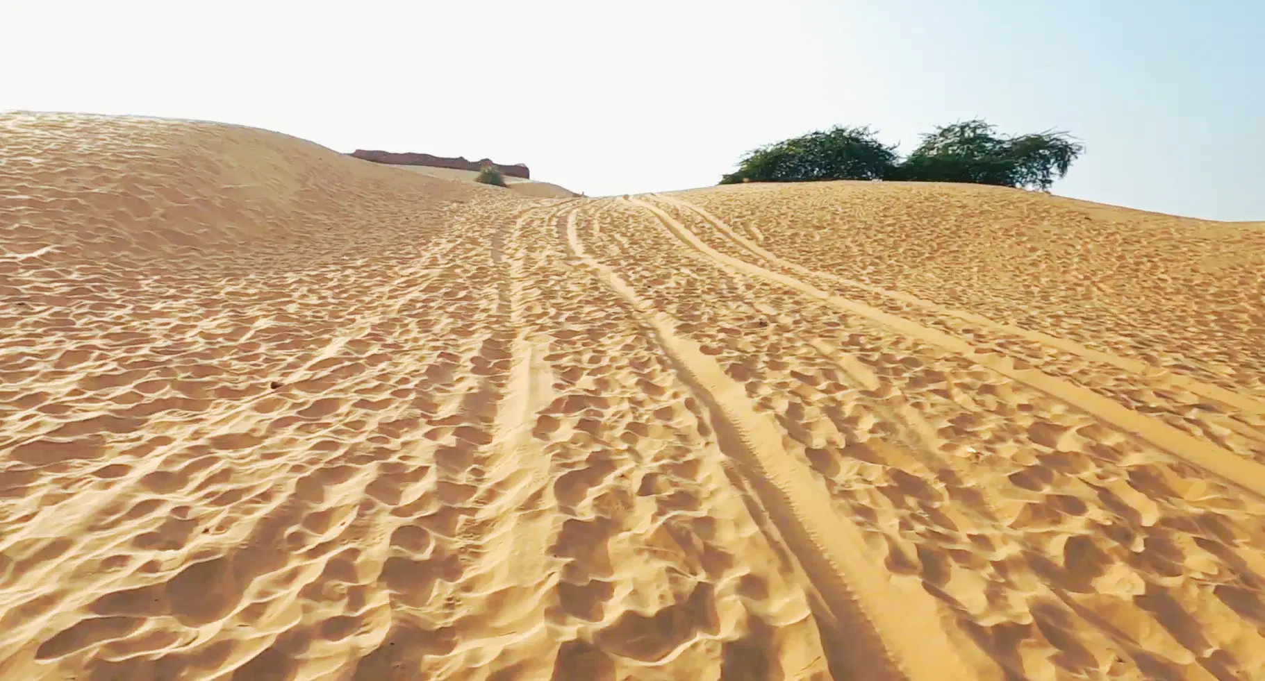 Golden dunes at Mahabar near Barmer for a crowd-free Thar Desert camel safari experience
