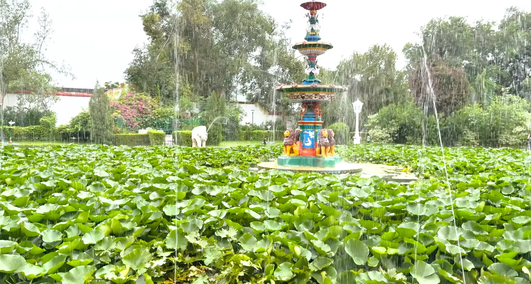 Fountains and landscaped gardens at Saheliyon Ki Bari
