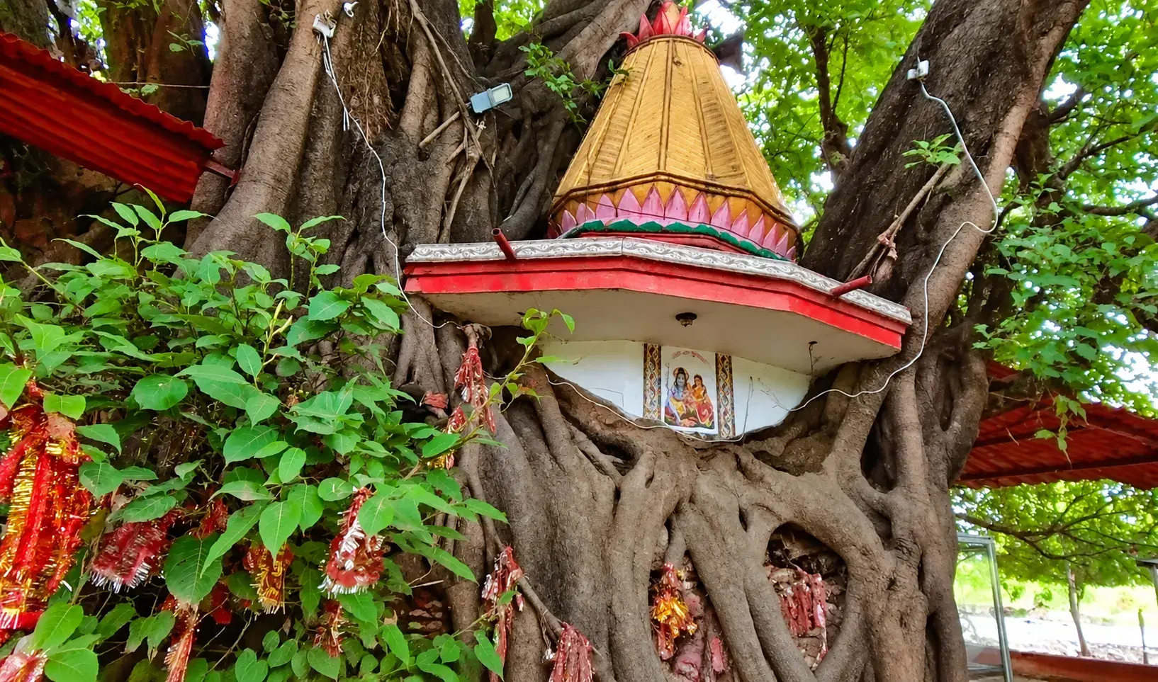 Van Shakti Devi Temple in Rudrapur