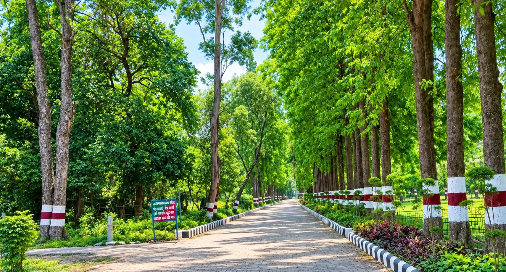 Sanjay Van Chetna Kendra in Rudrapur