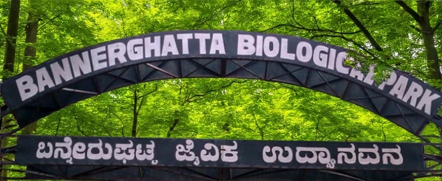 bannerghatta biological park