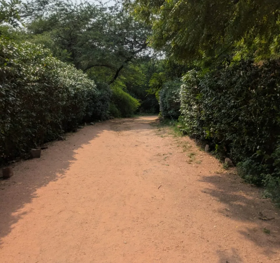 sanjay van walking trail